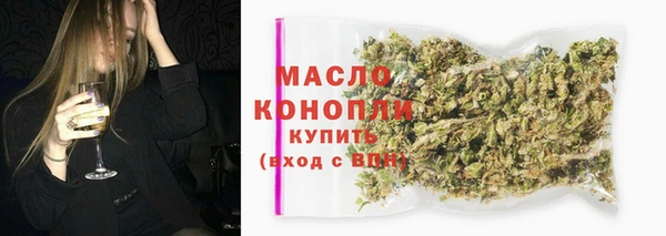 хмурый Арсеньев