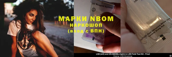 хмурый Арсеньев
