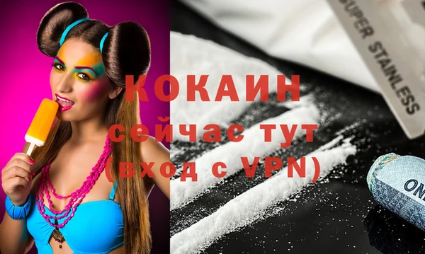 хмурый Арсеньев
