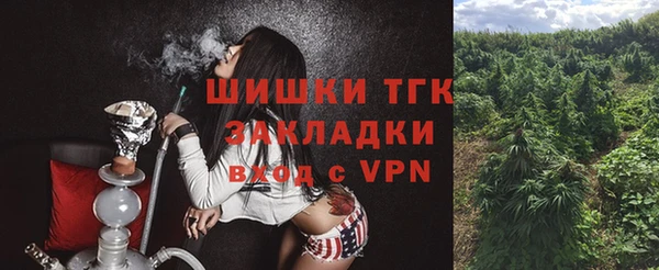 хмурый Арсеньев