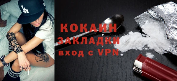 хмурый Арсеньев