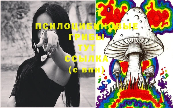 ECSTASY Алексеевка