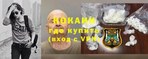 хмурый Арсеньев